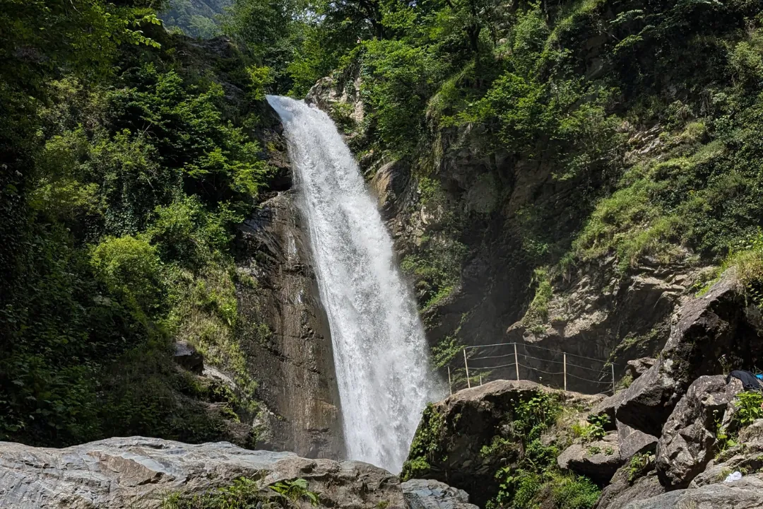 სიმულაციური ფოტო